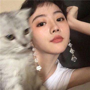 宠物战记内购破解版下载